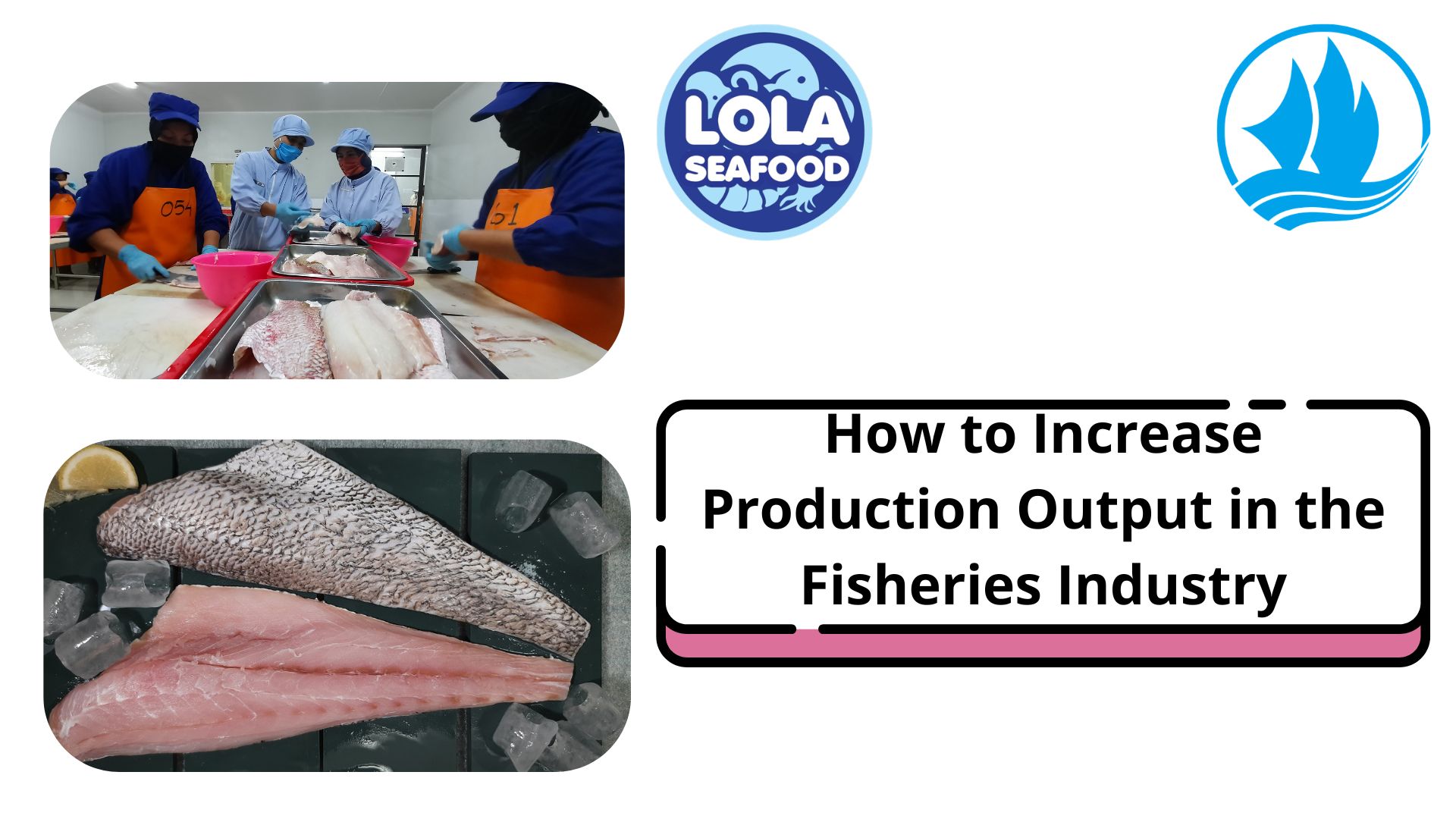 How to Increase Production Output in the Fisheries Industry